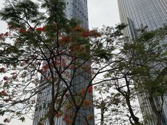 -深圳湾万象城