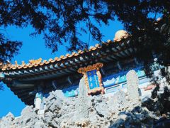 -故宫博物院(故宫)