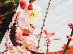 -西安曲江寒窑遗址公园