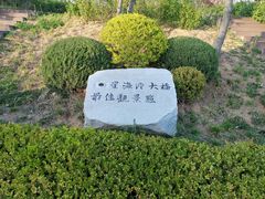 -星海湾跨海大桥