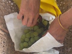 -马陆小张葡萄园农家乐