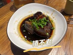 -椿不老