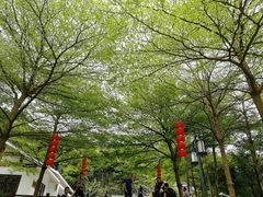 -广州市帽峰山景区