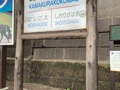 -灌篮高手动画打卡地