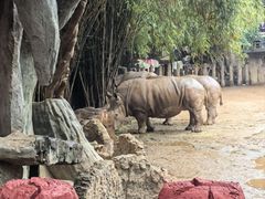 -长鹿旅游休博园