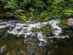 -祁门牯牛降观音堂风景区