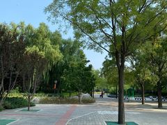 -大望京公园