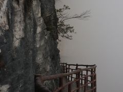 -鹿院坪生态旅游景区