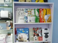 android_upload_pic-喵的天空名猫咖啡馆·撸猫·猫舍·用品