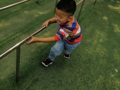 -北戴河集发农业梦想王国