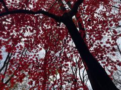 -三块石国家森林公园