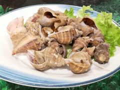 白灼海螺-旺角小渔村·海肠捞饭开创者(环山路店)