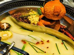 -红辣椒·川菜·火锅(张杨路店)