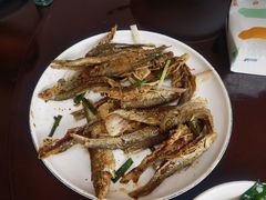 -芦茨金富饭庄·25年老字号·专做稻草鸡