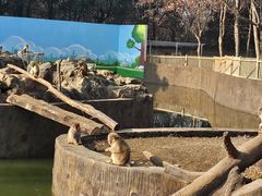 -合肥野生动物园