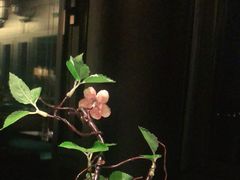 -柳莺湖上·湖景餐厅·江南菜(西湖店)