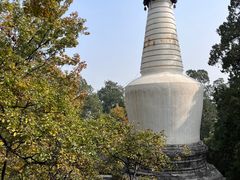 -大觉寺-停车场