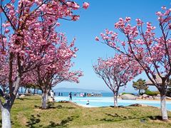 -悦海公园