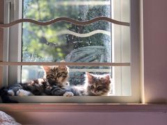 -大叔家福鼎小吃(十全街店)