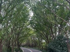 -同里国家湿地公园