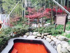 -江南天池高山汤泉城