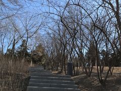 -北京奥林匹克公园