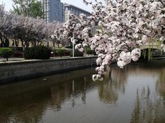 -元大都城垣遗址公园