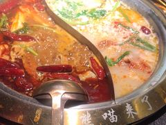 -熊喵来了火锅(四平万达第56分店)