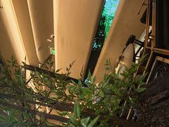 -茅庐毛血旺(临沂泰盛广场店)