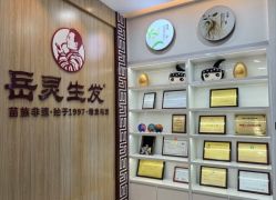 点击看大图 -岳灵生发养发馆
