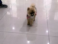 -佳雯宠物医院(金华南路分院)