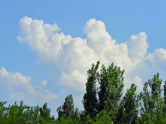 -龍歌自助小火锅(城阳万象汇店)