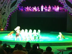 -珠海横琴长隆《卡卡虎奇遇记》