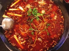 -鸿顺老铁锅美蛙鱼府(解放碑店)