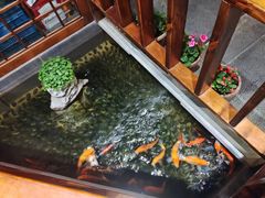 -尺山寸水日料(马桥满天星店)