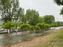 -永定河休闲森林公园