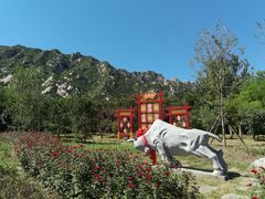 -北京凤凰岭