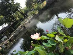 -杭州西湖柳莺里酒店