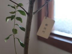 -PUZZLE COFFEE 拼图咖啡