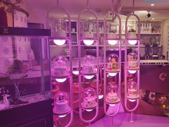 -巴特餐饮6加1音乐餐吧·新疆菜