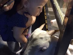 -上海大自然野生昆虫馆