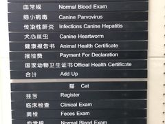 -申普宠物医院·心脏介入·心血管微创(总院)