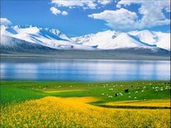 -青海湖国家重点风景名胜区