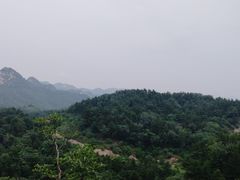 -六里坪国家森林公园