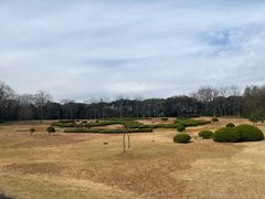 -宜兴龙背山森林公园