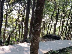 -梧桐山风景名胜区