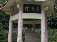 -莫里热带雨林景区