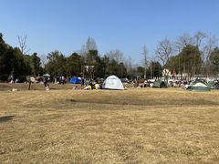 -夏河溪乡野公园