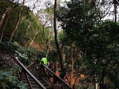 -宁海森林温泉