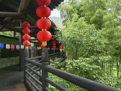 -大唐贡茶院